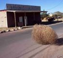 Tumbleweed
