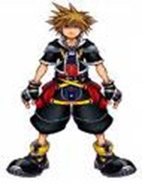 What Kingdom Hearts Person Are You 