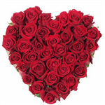 Plutôt Amoureux(Se) Ou Coeur Libre ?? <3<3<3<3<3<3