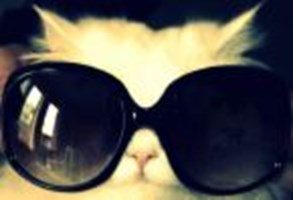 Are U A Cool Or Nerdy Person