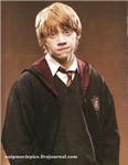 Qui Est Tu Dans Harry Potter