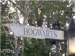 Do You Need Felix Felicis?