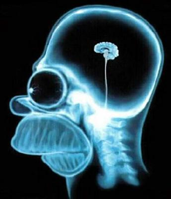 Test D'intelligenza