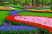 Happy Spring