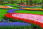 Happy Spring