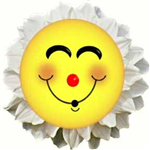 How Will U Feel 2 Morrow?