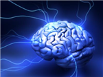 Emotional Intelligence