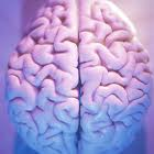 Ne Kadar Salaksın