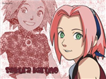 Seberapa Suka Kamu Sama Sakura?