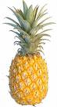 Which Fruit Are You?