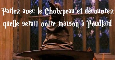 Votre Maison À Poudlard 