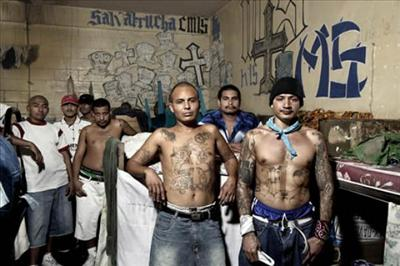 ¿Sos Negrero?
