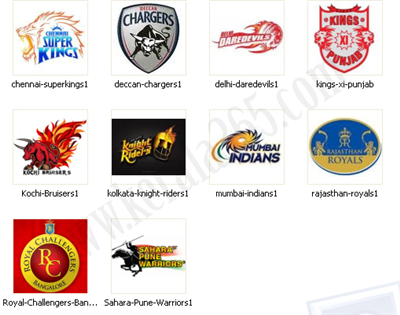 Who Will Win Ipl Season 4?
