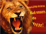 Aslan Mı  Kanaryamı