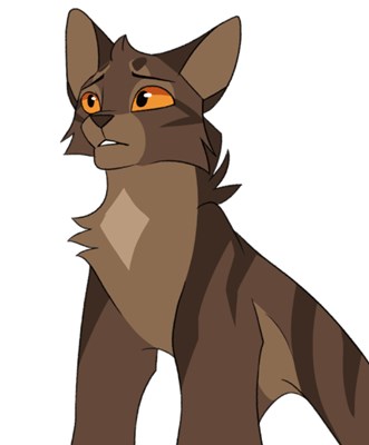 ¿Qué gato guerrero eres?