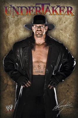 Wwe&Turkey Anket