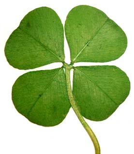 Luck?