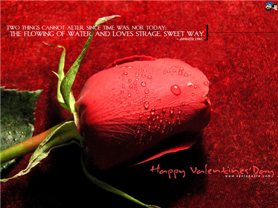 NICE PIC TO U