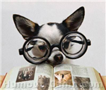 Tu Est Un Chien Ou Un Chat ???