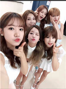 Hangi Apink Uyesisin?