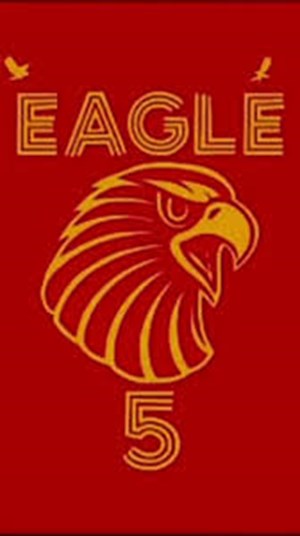 EAGLE 5fanımısım