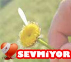 Seviyormu Sevmiyormu