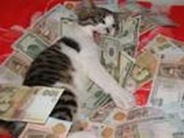 Ak Kedi Kara Kedi