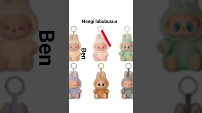 Hangi labubusun?