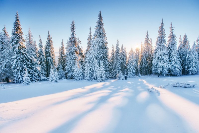 Hiver