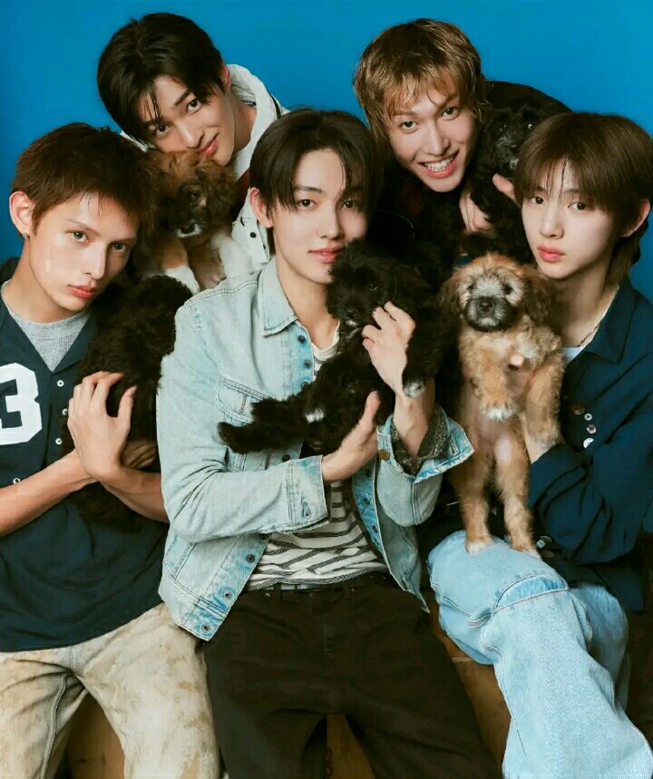 Untuk yang suka kpop