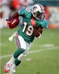 Dolfans Only!!!