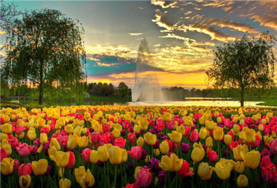 Panorama Garden