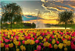 Panorama Garden