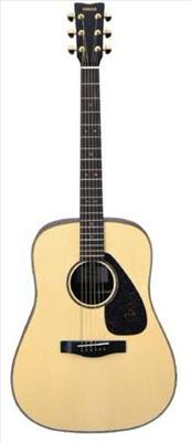 Acoustic Or Electric?