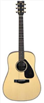 Acoustic Or Electric?