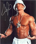 Er Du John Cena Eller Shawn Michael