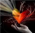 Where Will Your True Love Be From?