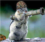 Who Is Best Girls Or Boys