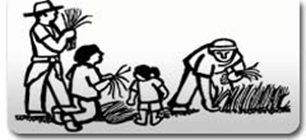 Farmville Day Laborers For Hire