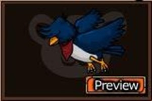 Ninja Saga Pet