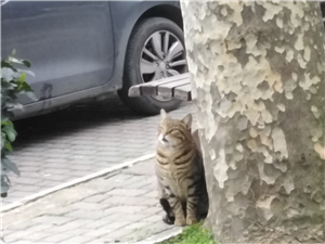 Ecrinle Dostmusun Düşman Mı