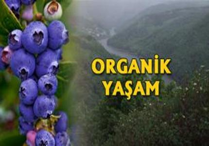 Organik Yaşam