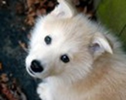 Test De Personalidad