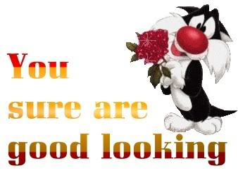 Are You Good Looking?