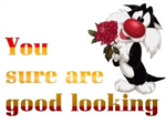 Are You Good Looking?