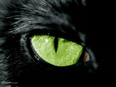 Je Te Dit Ta Couleur D'yeux En 5 Questions!