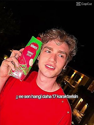 Hangi daha 17 karakterisin