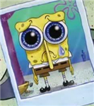 Sad? Heartbroken? Which Is It?