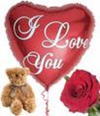 Love Or No Love
