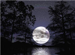 Gece Ve Gündüz